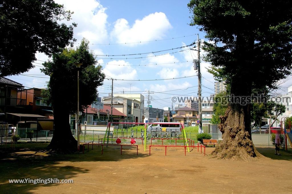 YTS_YTS_20190804_日本關東埼玉川越大師喜多院／五百羅漢／松平大和守家廟所Japan Kanto Saitama Kawagoe Kita-in Temple157_539A1740.jpg