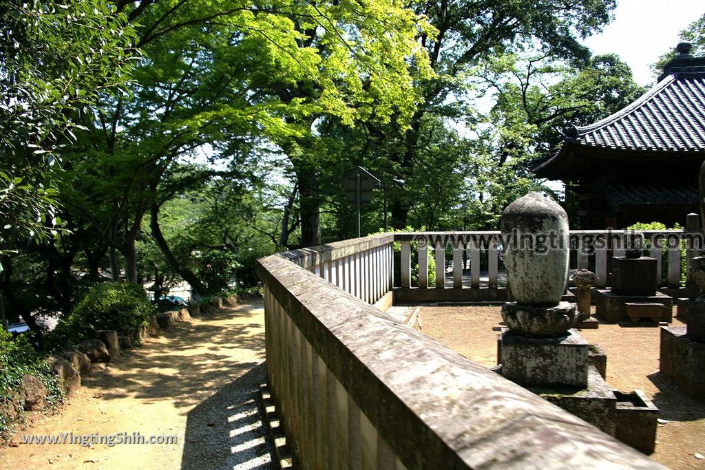 YTS_YTS_20190804_日本關東埼玉川越大師喜多院／五百羅漢／松平大和守家廟所Japan Kanto Saitama Kawagoe Kita-in Temple169_539A1778.jpg