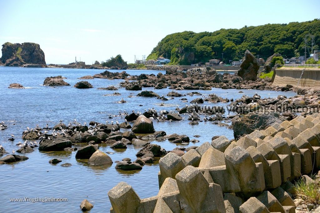 YTS_YTS_20190716_日本東北秋田男鹿鵜ノ崎海岸（日本海岸百選）／鬼洗板／小豆岩／燈塔Japan Tohoku Akita Unosaki Seaside091_539A5452.jpg