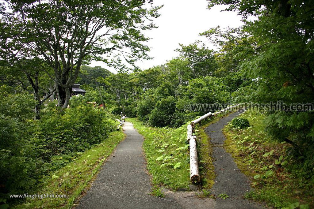 YTS_YTS_20190729_日本東北秋田雄勝須川湖／露營場／朱沼神社Japan Tohoku Akita Sukawa Lake010_539A0621.jpg