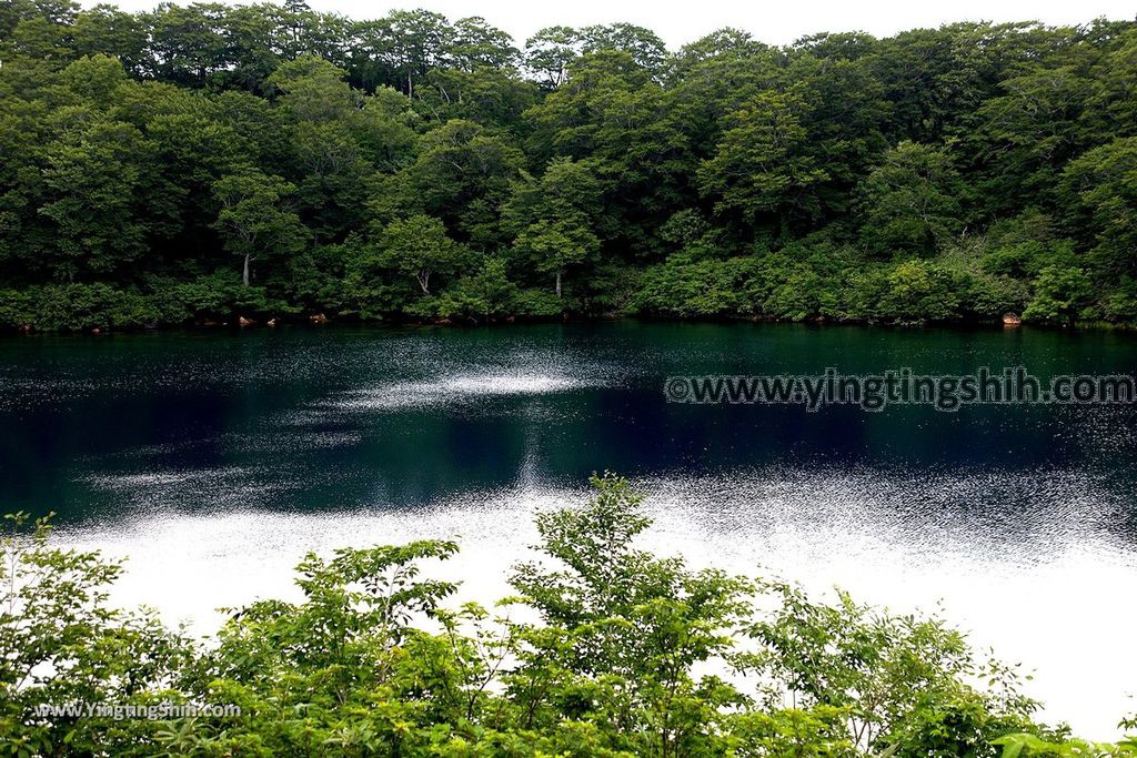 YTS_YTS_20190729_日本東北秋田雄勝須川湖／露營場／朱沼神社Japan Tohoku Akita Sukawa Lake055_539A0772.jpg