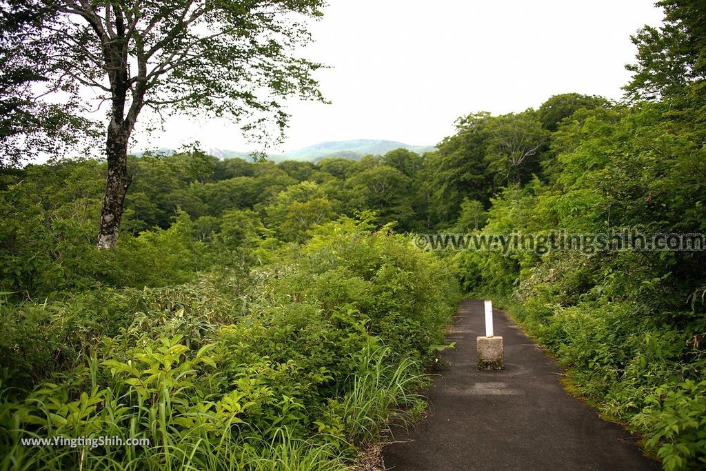 YTS_YTS_20190729_日本東北秋田雄勝須川湖／露營場／朱沼神社Japan Tohoku Akita Sukawa Lake056_539A0786.jpg