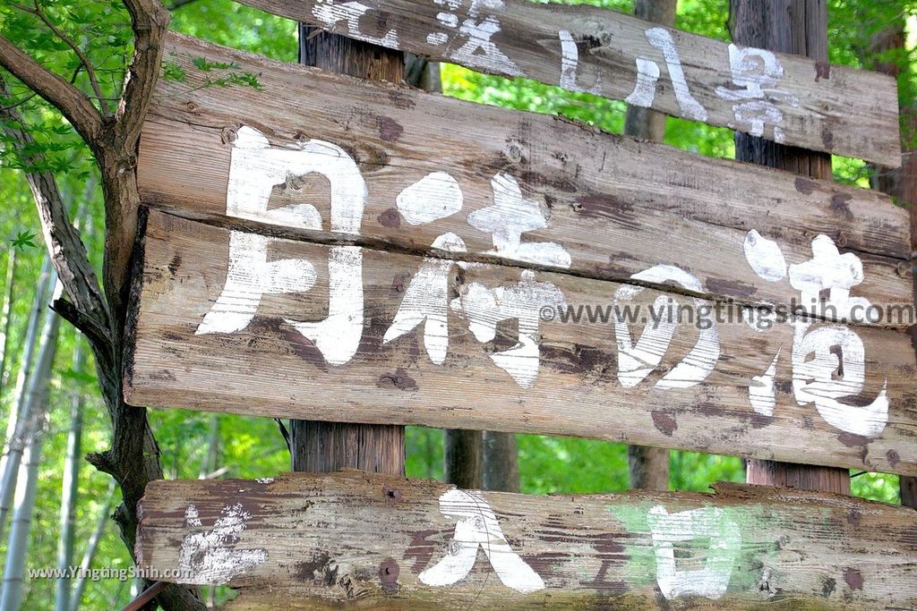 YTS_YTS_20190810_日本關東茨城月待の滝／開運の水／裏見茶屋Japan Kanto Ibaraki Tsukimachino Falls012_539A5849.jpg