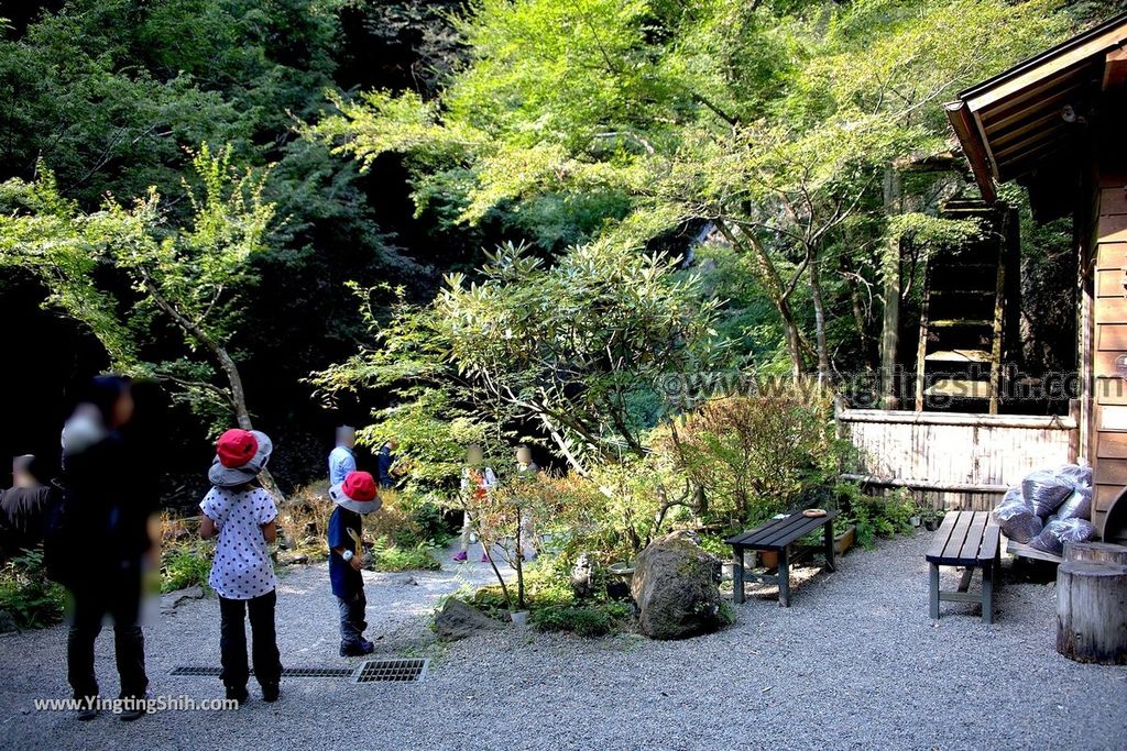 YTS_YTS_20190810_日本關東茨城月待の滝／開運の水／裏見茶屋Japan Kanto Ibaraki Tsukimachino Falls033_539A5876.jpg