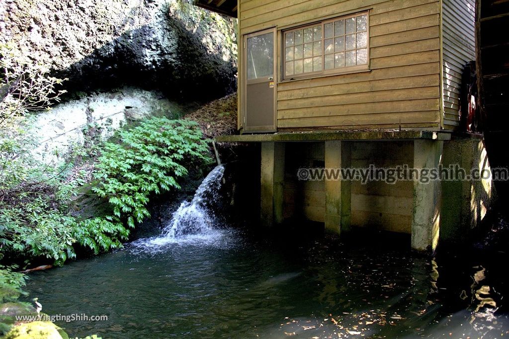 YTS_YTS_20190810_日本關東茨城月待の滝／開運の水／裏見茶屋Japan Kanto Ibaraki Tsukimachino Falls041_539A5889.jpg