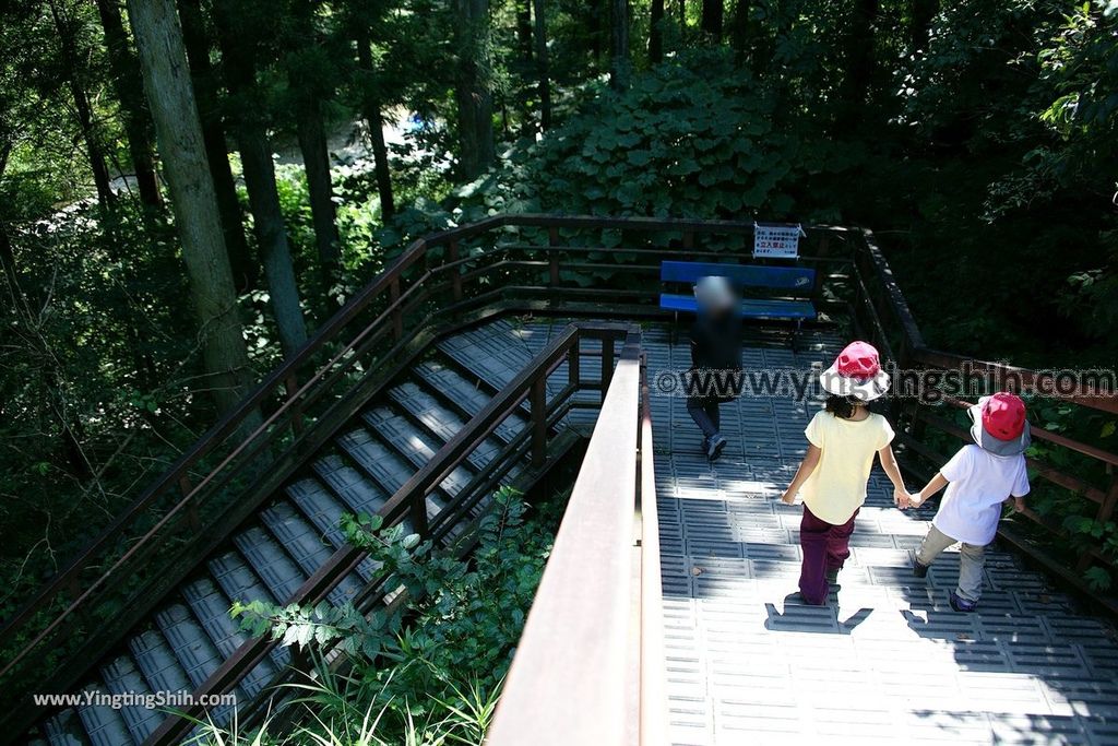 YTS_YTS_20190818_日本東北宮城滑津大滝／免費玩水溪谷Japan Tohoku Miyagi Nametsuo Falls036_539A1519.jpg