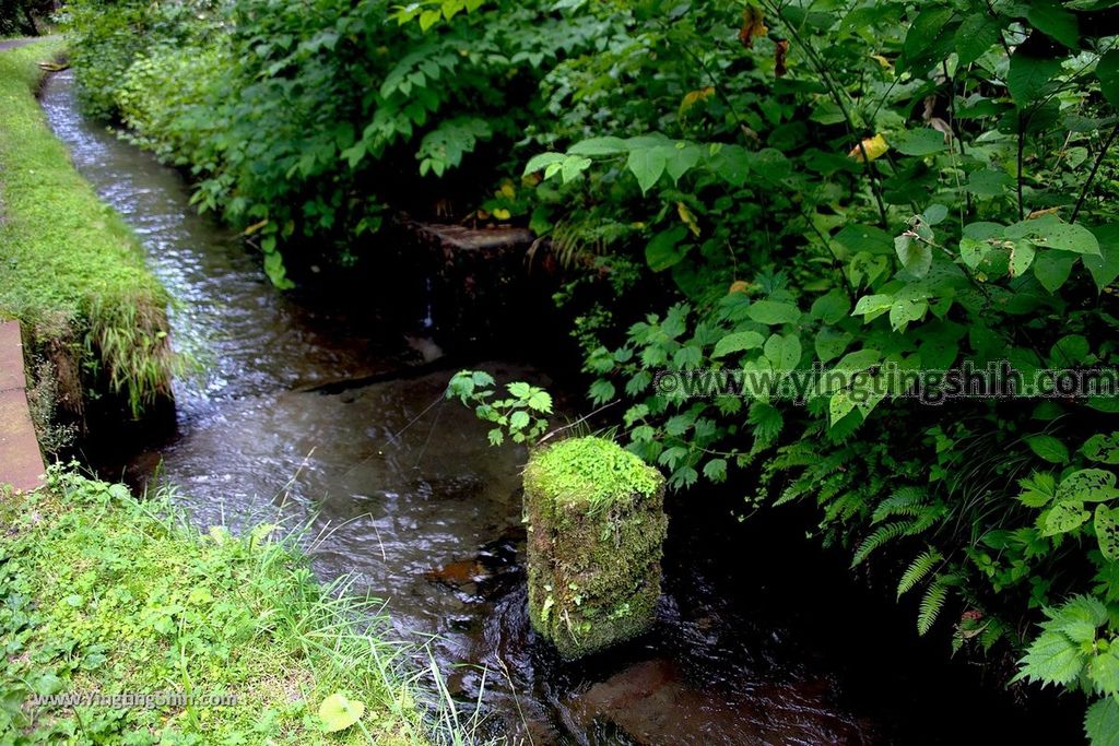 YTS_YTS_20190715_日本東北秋田元滝伏流水／拍瀑布天堂Japan Tohoku Akita Mototaki Waterfall021_539A2353.jpg