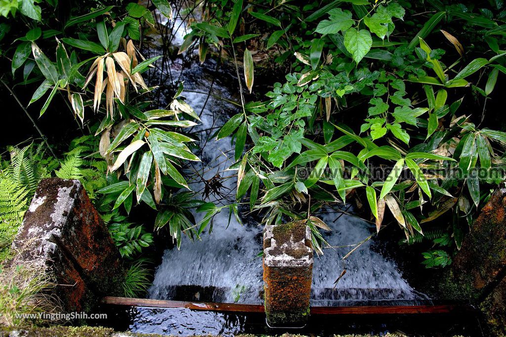 YTS_YTS_20190715_日本東北秋田元滝伏流水／拍瀑布天堂Japan Tohoku Akita Mototaki Waterfall022_539A2354.jpg