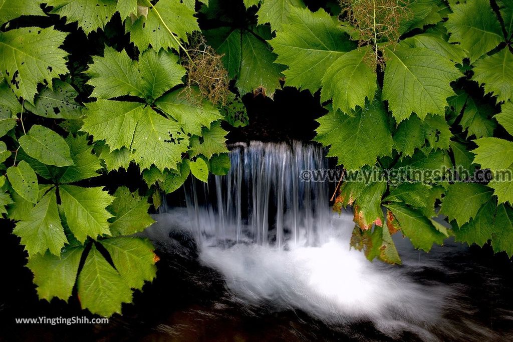 YTS_YTS_20190715_日本東北秋田元滝伏流水／拍瀑布天堂Japan Tohoku Akita Mototaki Waterfall023_539A2395.jpg