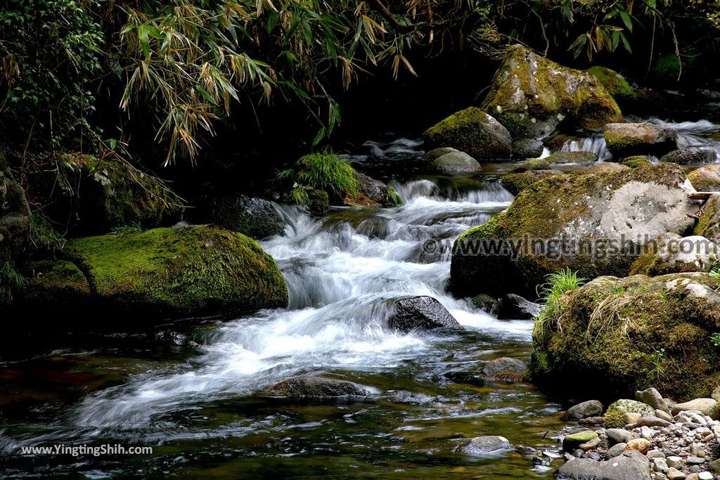 YTS_YTS_20190715_日本東北秋田元滝伏流水／拍瀑布天堂Japan Tohoku Akita Mototaki Waterfall027_539A2411.jpg