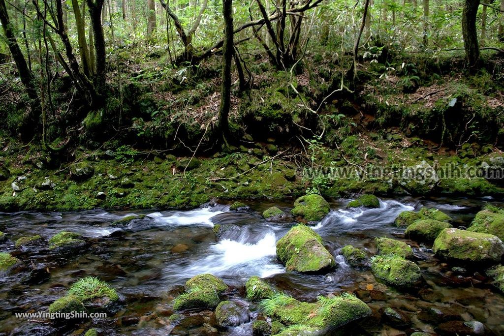 YTS_YTS_20190715_日本東北秋田元滝伏流水／拍瀑布天堂Japan Tohoku Akita Mototaki Waterfall033_539A2461.jpg