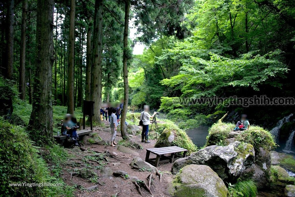 YTS_YTS_20190715_日本東北秋田元滝伏流水／拍瀑布天堂Japan Tohoku Akita Mototaki Waterfall068_539A2910.jpg