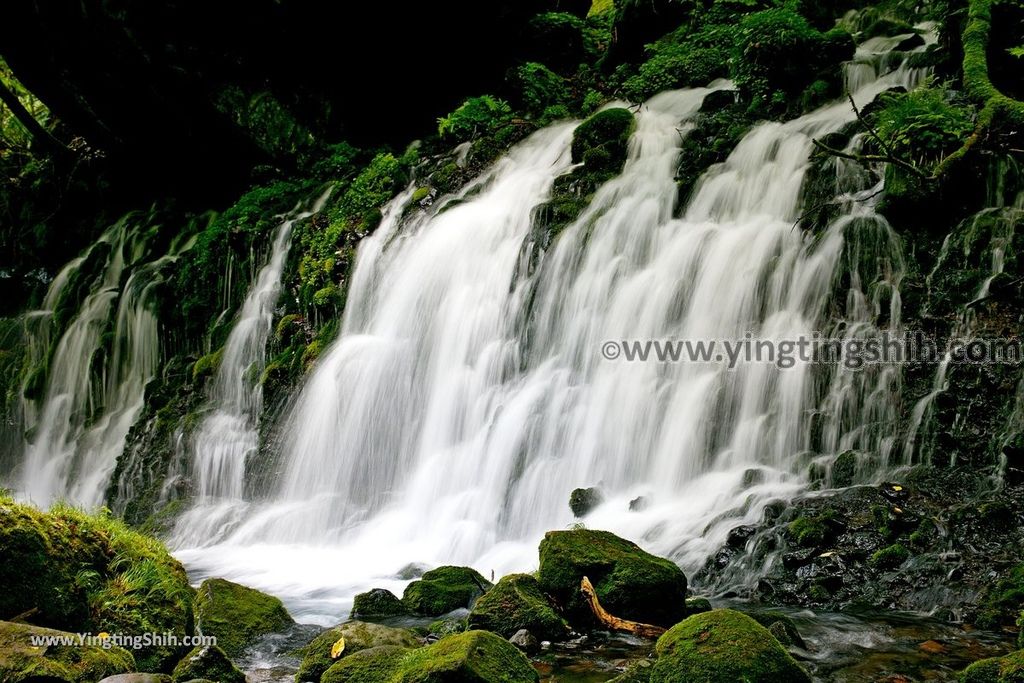 YTS_YTS_20190715_日本東北秋田元滝伏流水／拍瀑布天堂Japan Tohoku Akita Mototaki Waterfall066_539A3502.jpg