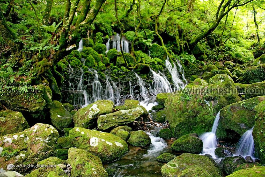 YTS_YTS_20190715_日本東北秋田元滝伏流水／拍瀑布天堂Japan Tohoku Akita Mototaki Waterfall067_539A3522.jpg