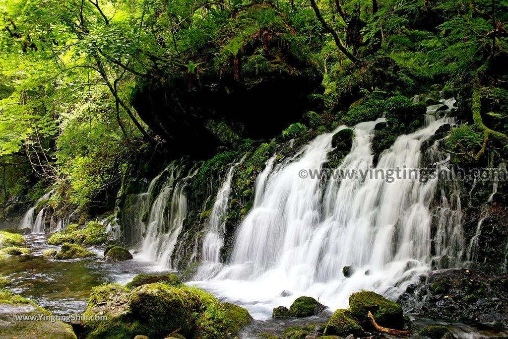 YTS_YTS_20190715_日本東北秋田元滝伏流水／拍瀑布天堂Japan Tohoku Akita Mototaki Waterfall065_539A3575.jpg