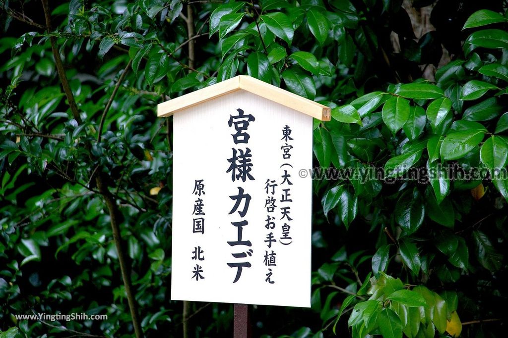 YTS_YTS_20190712_日本東北山形宝珠山立石寺／山寺／奧之細道／斬斷惡緣Japan Tohoku Yamagata Hojuzan Risshaku Temple057_539A6824.jpg