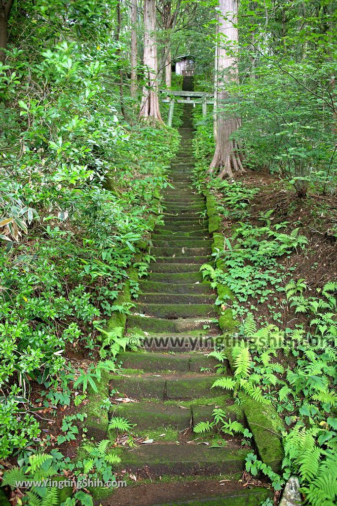 YTS_YTS_20190811_日本關東櫪木湯本免費足湯／愛宕福神水／那須温泉神社／五葉松Japan Kanto Tochigi Foot Bath041_539A7418.jpg