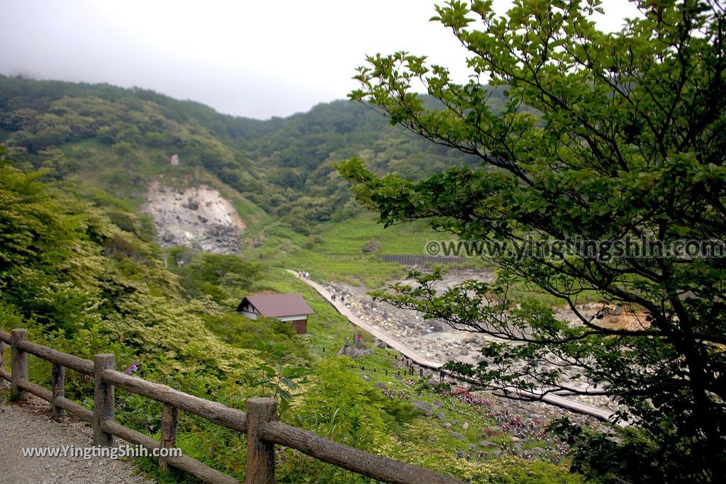 YTS_YTS_20190811_日本關東櫪木湯本免費足湯／愛宕福神水／那須温泉神社／五葉松Japan Kanto Tochigi Foot Bath077_539A7342.jpg