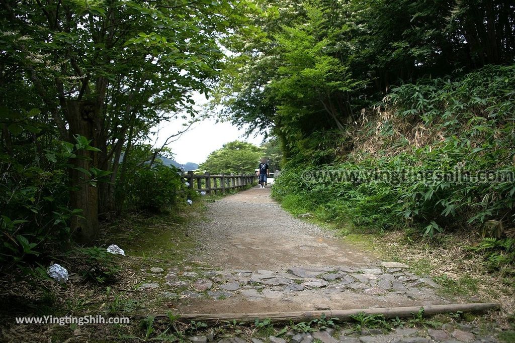 YTS_YTS_20190811_日本關東櫪木湯本免費足湯／愛宕福神水／那須温泉神社／五葉松Japan Kanto Tochigi Foot Bath081_539A7157.jpg