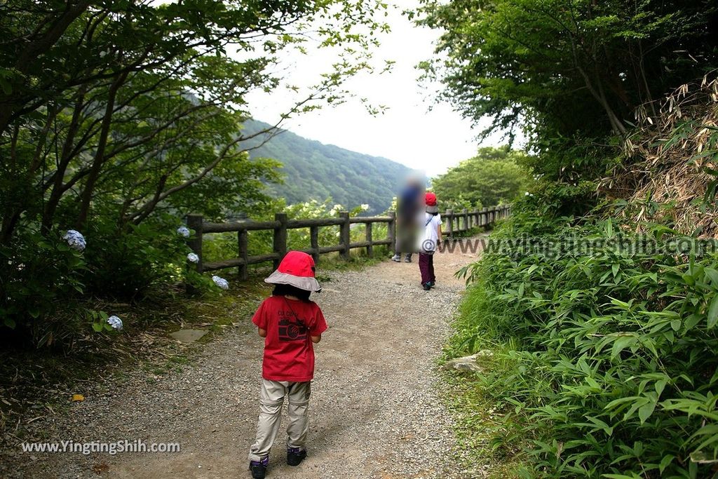 YTS_YTS_20190811_日本關東櫪木湯本免費足湯／愛宕福神水／那須温泉神社／五葉松Japan Kanto Tochigi Foot Bath091_539A7160.jpg