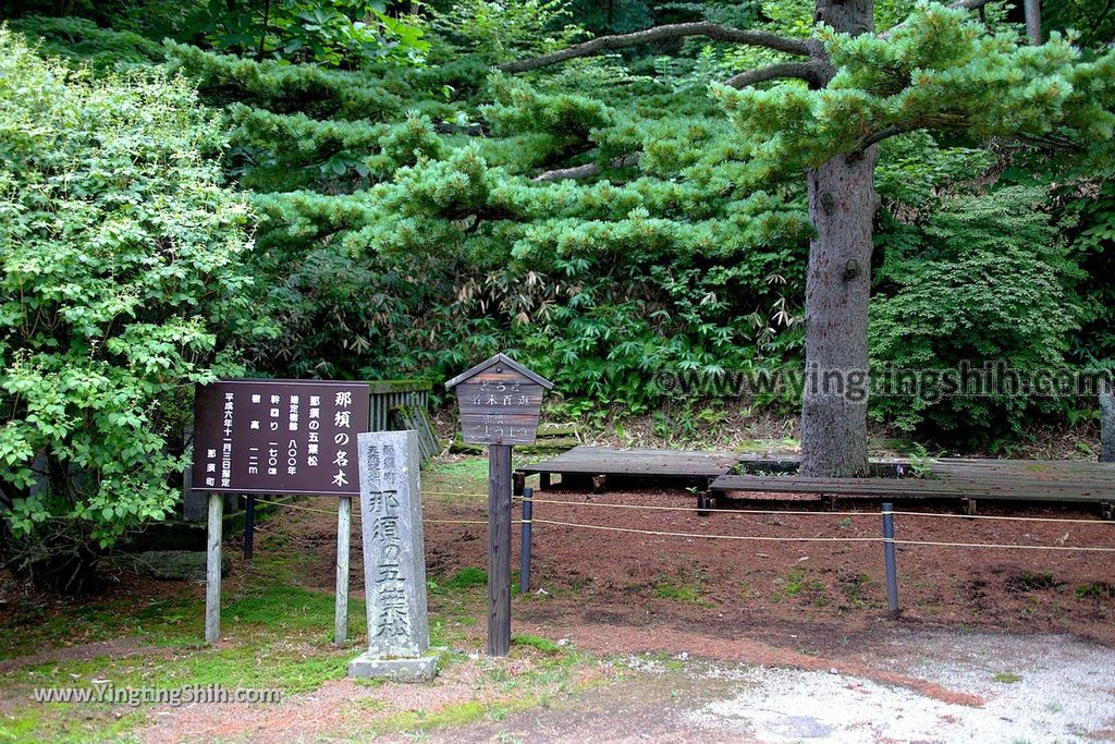 YTS_YTS_20190811_日本關東櫪木湯本免費足湯／愛宕福神水／那須温泉神社／五葉松Japan Kanto Tochigi Foot Bath105_539A7365.jpg