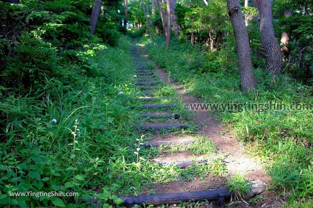 YTS_YTS_20190728_日本東北岩手陸前高田黒崎仙峡／黒崎神社Japan Tohoku Iwate Kurosaki Senkyo031_539A9237.jpg