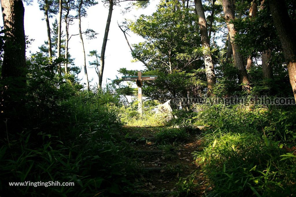 YTS_YTS_20190728_日本東北岩手陸前高田黒崎仙峡／黒崎神社Japan Tohoku Iwate Kurosaki Senkyo034_539A9272.jpg