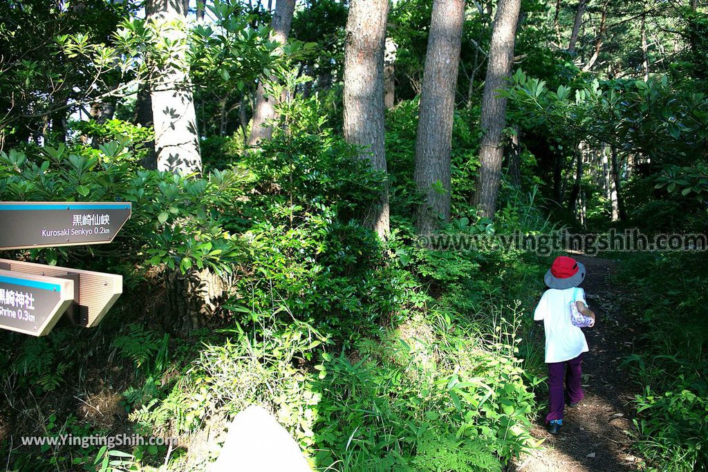 YTS_YTS_20190728_日本東北岩手陸前高田黒崎仙峡／黒崎神社Japan Tohoku Iwate Kurosaki Senkyo036_539A9275.jpg