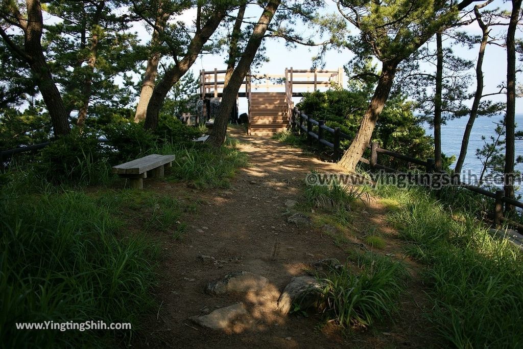 YTS_YTS_20190728_日本東北岩手陸前高田黒崎仙峡／黒崎神社Japan Tohoku Iwate Kurosaki Senkyo047_539A9292.jpg