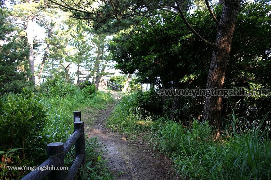 YTS_YTS_20190728_日本東北岩手陸前高田黒崎仙峡／黒崎神社Japan Tohoku Iwate Kurosaki Senkyo046_539A9291.jpg