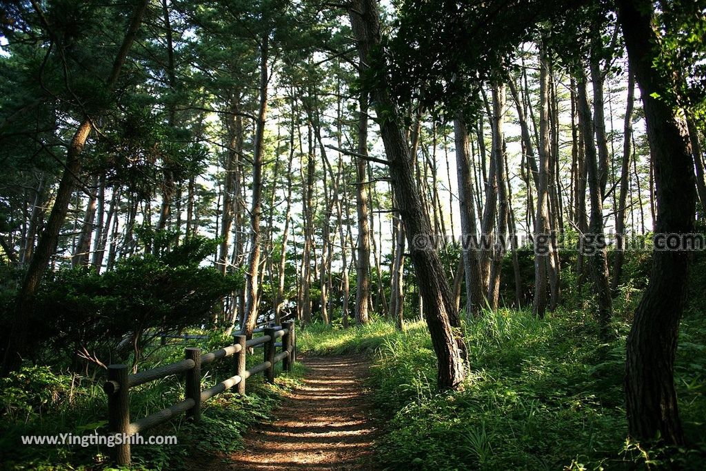 YTS_YTS_20190728_日本東北岩手陸前高田黒崎仙峡／黒崎神社Japan Tohoku Iwate Kurosaki Senkyo043_539A9284.jpg