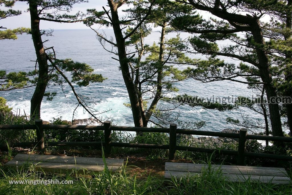 YTS_YTS_20190728_日本東北岩手陸前高田黒崎仙峡／黒崎神社Japan Tohoku Iwate Kurosaki Senkyo066_539A9341.jpg