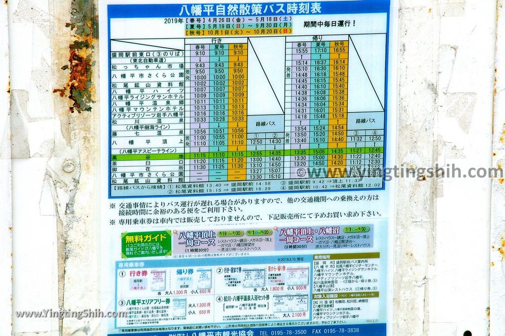 YTS_YTS_20190722_日本東北岩手八幡平山頂樹海／見返峠／鏡沼／八幡沼Japan Tohoku Iwate Mount Hachimantai／Mikaeri Pass004_539A5819.jpg