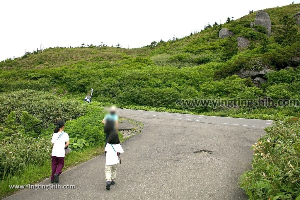 YTS_YTS_20190722_日本東北岩手八幡平山頂樹海／見返峠／鏡沼／八幡沼Japan Tohoku Iwate Mount Hachimantai／Mikaeri Pass017_539A5845.jpg