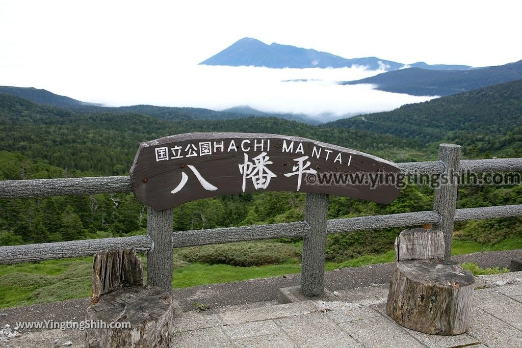 YTS_YTS_20190722_日本東北岩手八幡平山頂樹海／見返峠／鏡沼／八幡沼Japan Tohoku Iwate Mount Hachimantai／Mikaeri Pass025_539A5962.jpg