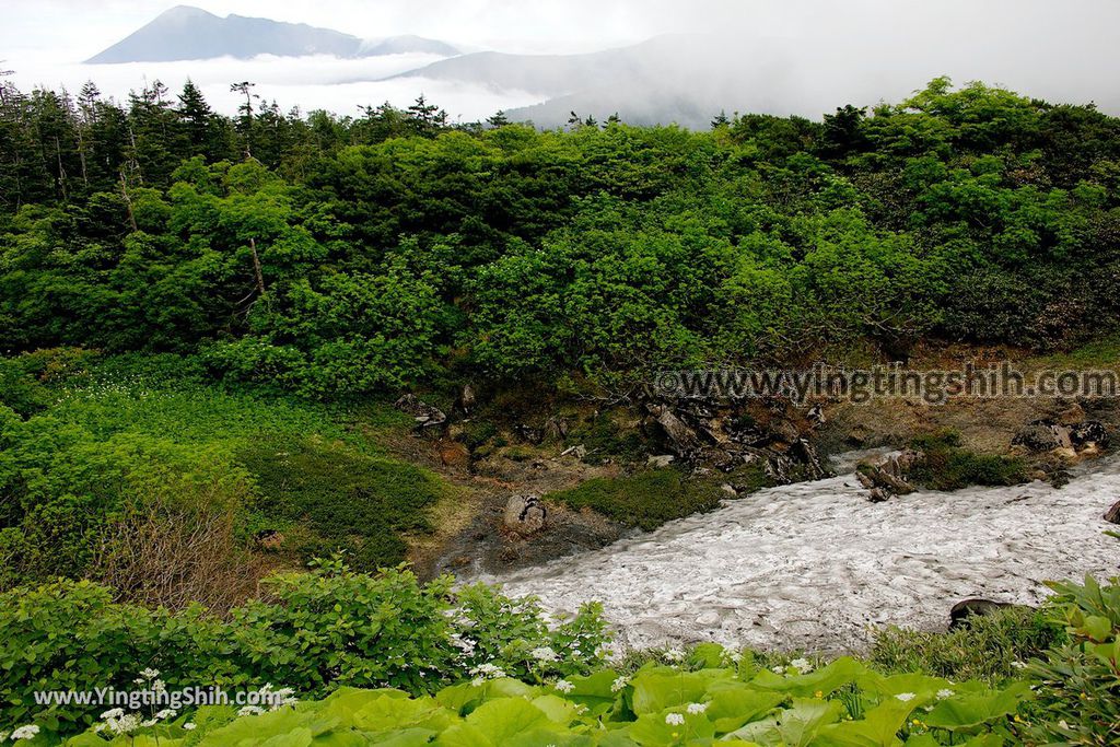 YTS_YTS_20190722_日本東北岩手八幡平山頂樹海／見返峠／鏡沼／八幡沼Japan Tohoku Iwate Mount Hachimantai／Mikaeri Pass026_539A6809.jpg