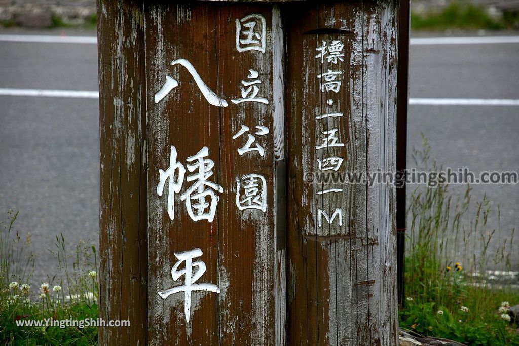 YTS_YTS_20190722_日本東北岩手八幡平山頂樹海／見返峠／鏡沼／八幡沼Japan Tohoku Iwate Mount Hachimantai／Mikaeri Pass076_539A5964.jpg