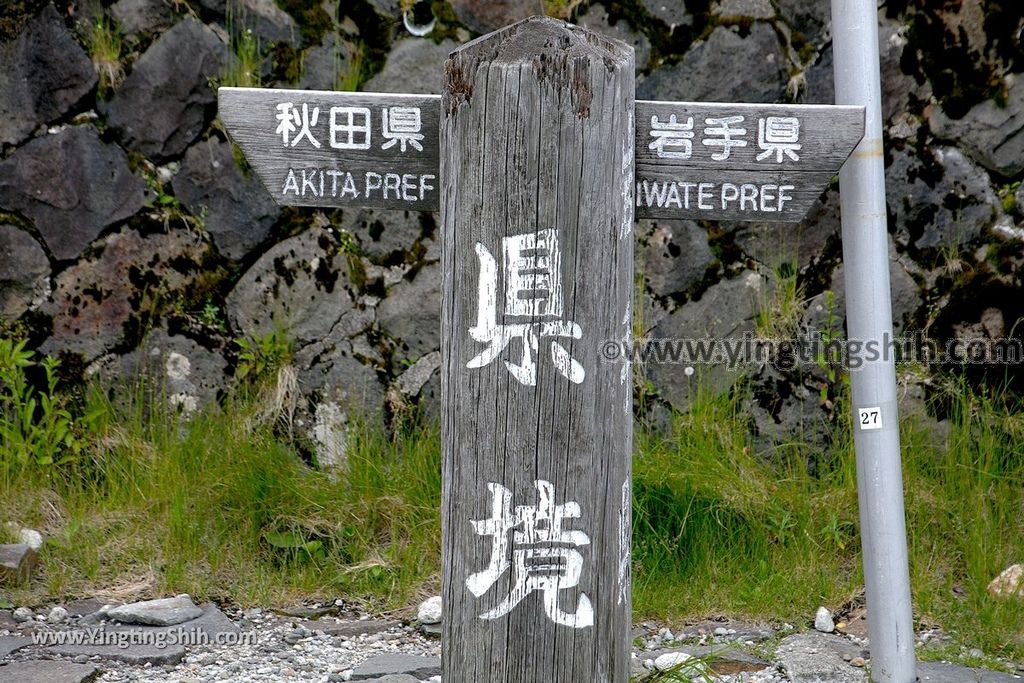 YTS_YTS_20190722_日本東北岩手八幡平山頂樹海／見返峠／鏡沼／八幡沼Japan Tohoku Iwate Mount Hachimantai／Mikaeri Pass078_539A5966.jpg