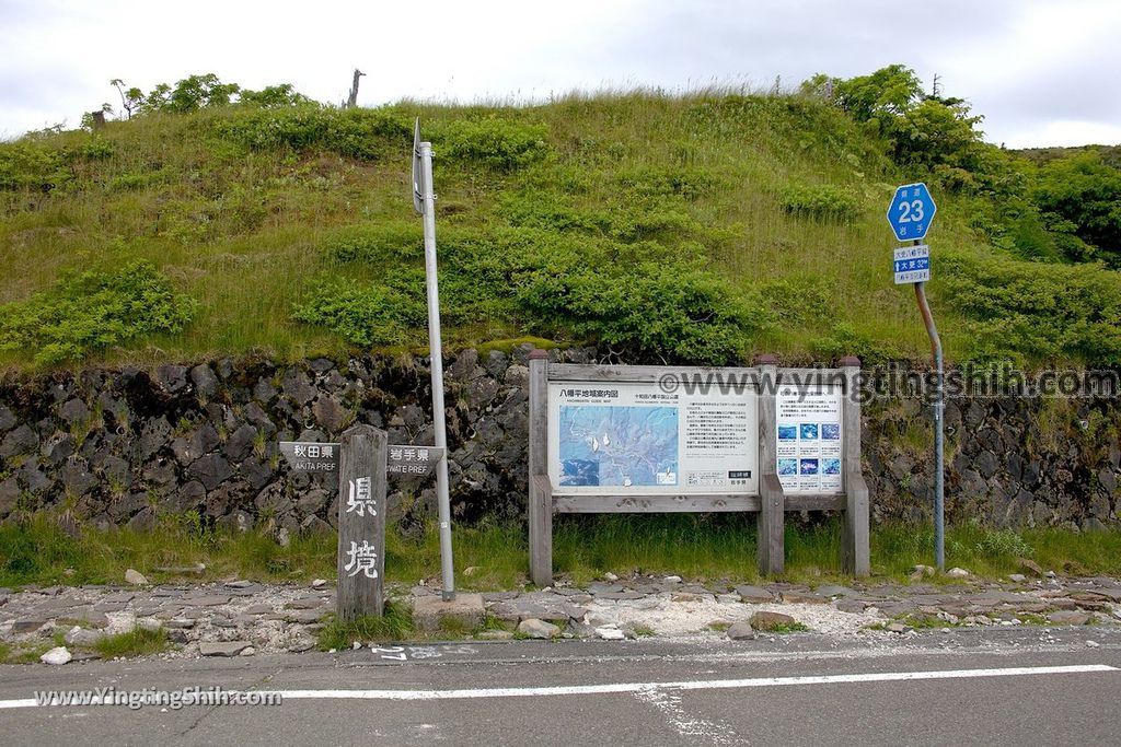 YTS_YTS_20190722_日本東北岩手八幡平山頂樹海／見返峠／鏡沼／八幡沼Japan Tohoku Iwate Mount Hachimantai／Mikaeri Pass077_539A5965.jpg