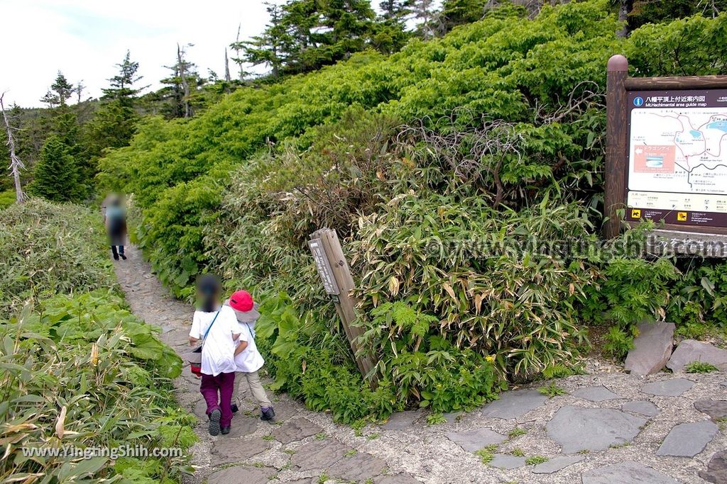 YTS_YTS_20190722_日本東北岩手八幡平山頂樹海／見返峠／鏡沼／八幡沼Japan Tohoku Iwate Mount Hachimantai／Mikaeri Pass091_539A5987.jpg