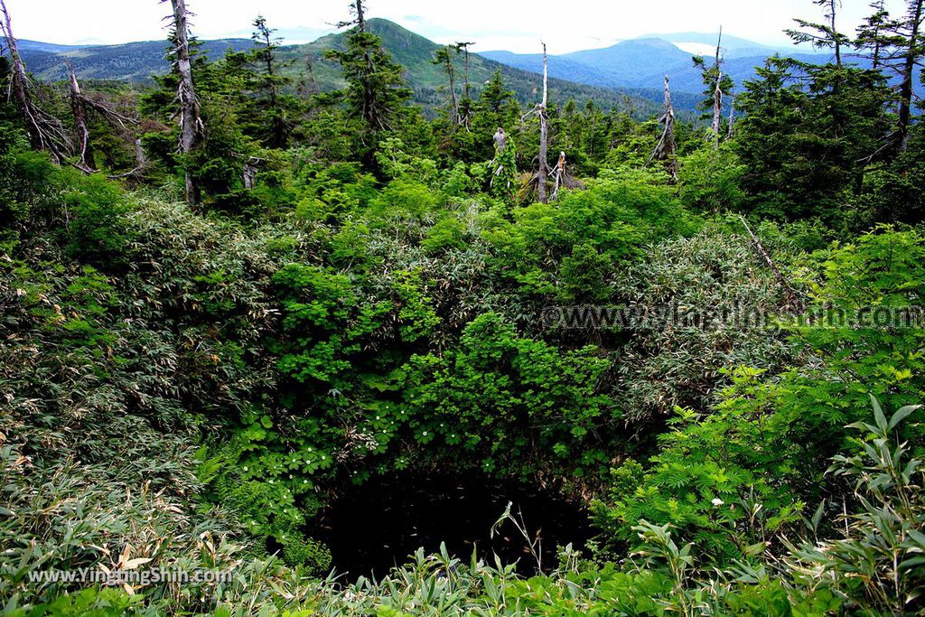 YTS_YTS_20190722_日本東北岩手八幡平山頂樹海／見返峠／鏡沼／八幡沼Japan Tohoku Iwate Mount Hachimantai／Mikaeri Pass097_539A6003.jpg