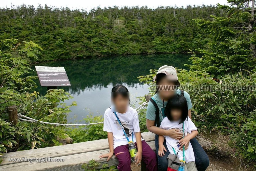 YTS_YTS_20190722_日本東北岩手八幡平山頂樹海／見返峠／鏡沼／八幡沼Japan Tohoku Iwate Mount Hachimantai／Mikaeri Pass104_539A6025.jpg