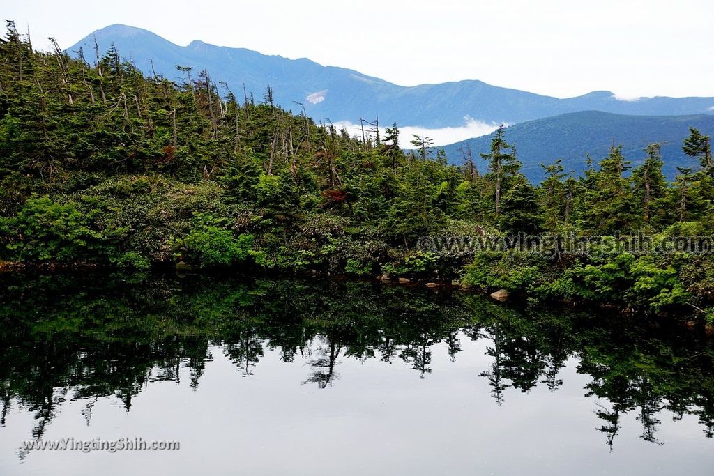 YTS_YTS_20190722_日本東北岩手八幡平山頂樹海／見返峠／鏡沼／八幡沼Japan Tohoku Iwate Mount Hachimantai／Mikaeri Pass106_539A6037.jpg