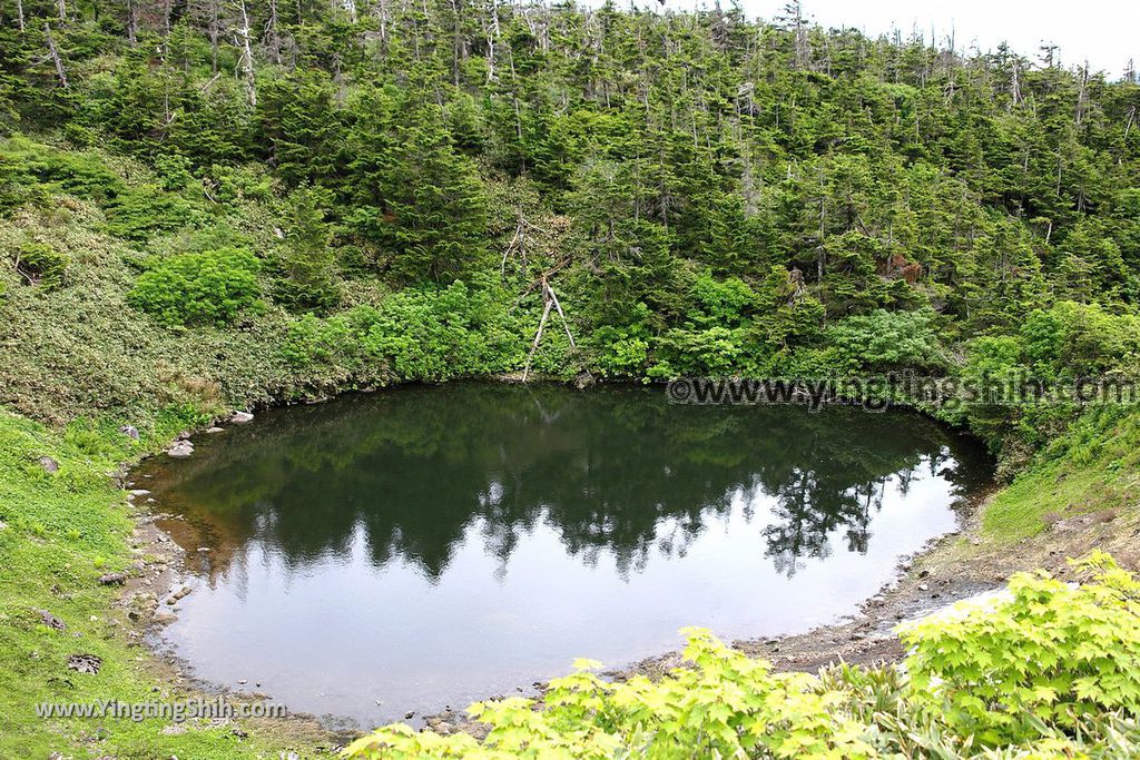 YTS_YTS_20190722_日本東北岩手八幡平山頂樹海／見返峠／鏡沼／八幡沼Japan Tohoku Iwate Mount Hachimantai／Mikaeri Pass113_539A6066.jpg