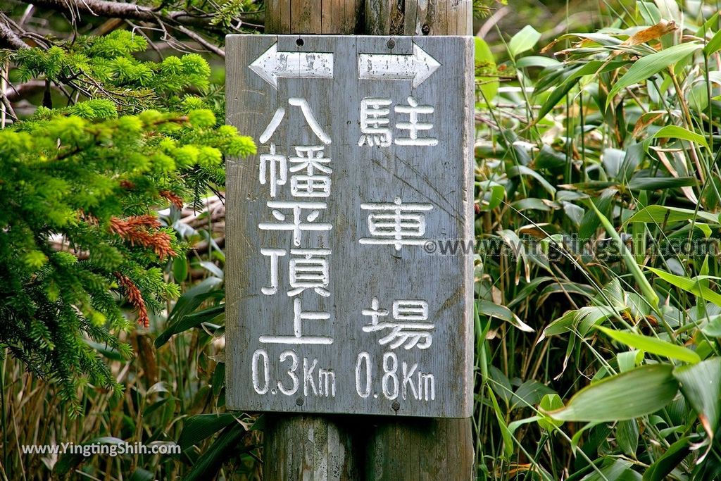 YTS_YTS_20190722_日本東北岩手八幡平山頂樹海／見返峠／鏡沼／八幡沼Japan Tohoku Iwate Mount Hachimantai／Mikaeri Pass118_539A6078.jpg