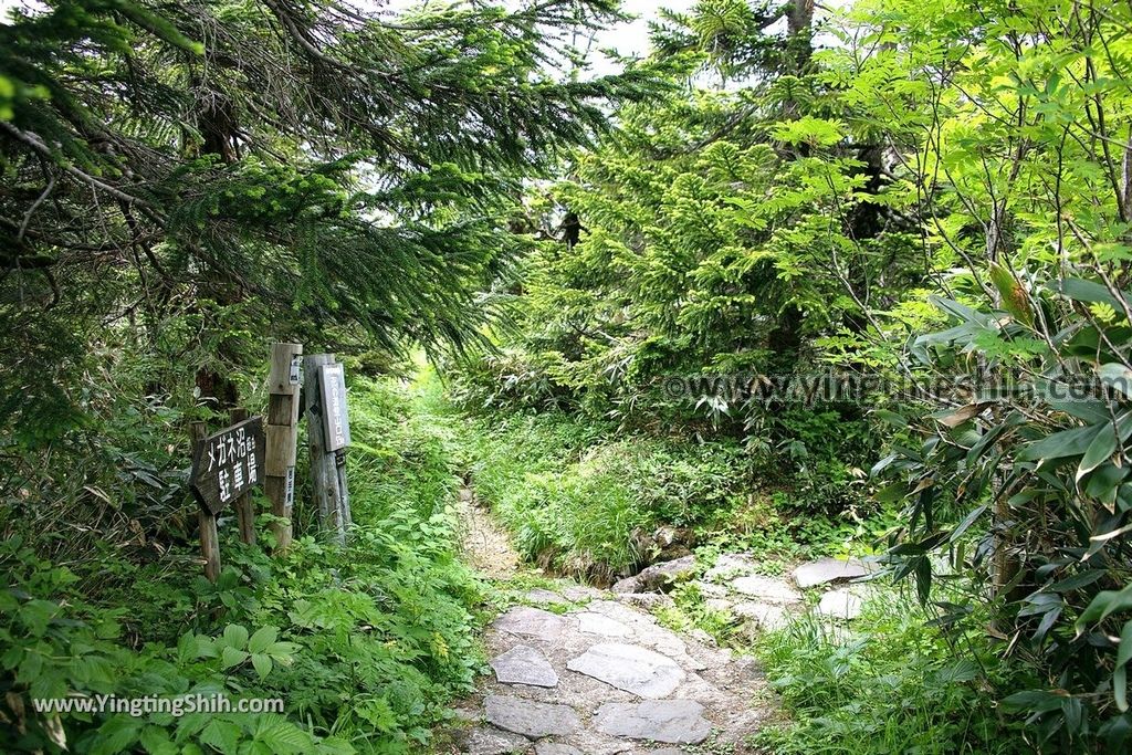 YTS_YTS_20190722_日本東北岩手八幡平山頂樹海／見返峠／鏡沼／八幡沼Japan Tohoku Iwate Mount Hachimantai／Mikaeri Pass124_539A6095.jpg