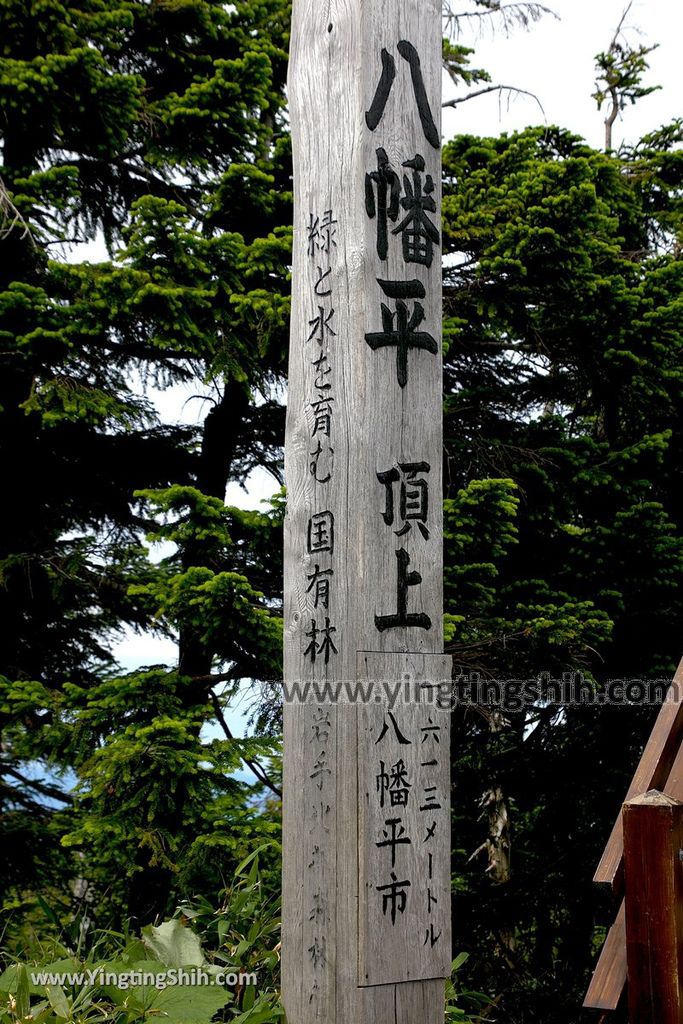 YTS_YTS_20190722_日本東北岩手八幡平山頂樹海／見返峠／鏡沼／八幡沼Japan Tohoku Iwate Mount Hachimantai／Mikaeri Pass130_539A6105.jpg