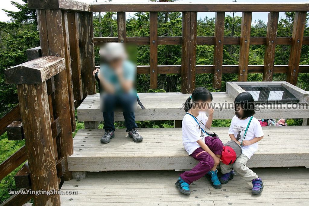 YTS_YTS_20190722_日本東北岩手八幡平山頂樹海／見返峠／鏡沼／八幡沼Japan Tohoku Iwate Mount Hachimantai／Mikaeri Pass136_539A6111.jpg