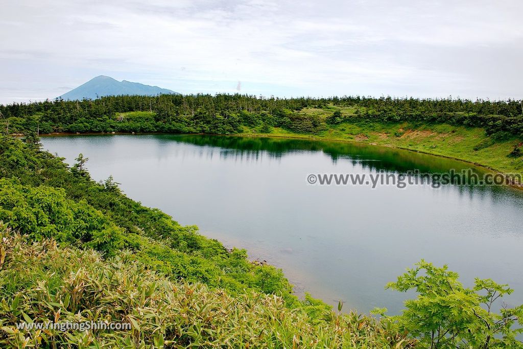 YTS_YTS_20190722_日本東北岩手八幡平山頂樹海／見返峠／鏡沼／八幡沼Japan Tohoku Iwate Mount Hachimantai／Mikaeri Pass143_539A6136.jpg