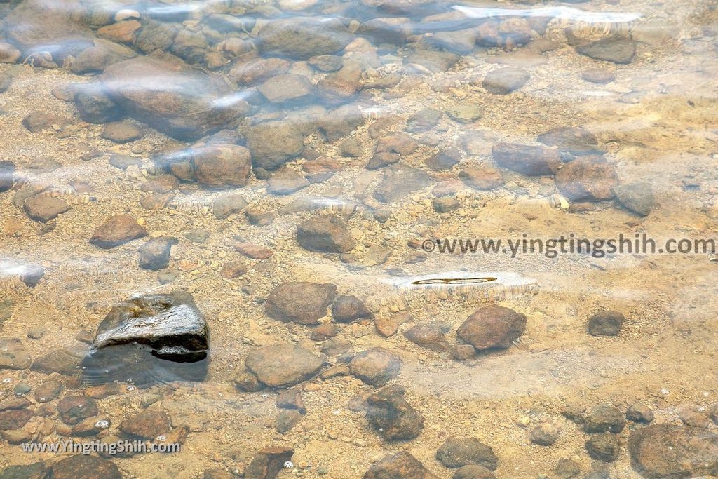 YTS_YTS_20190722_日本東北岩手八幡平山頂樹海／見返峠／鏡沼／八幡沼Japan Tohoku Iwate Mount Hachimantai／Mikaeri Pass199_539A6334.jpg